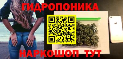 spice Тула