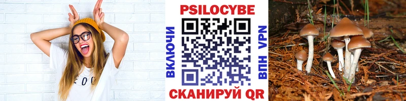 Псилоцибиновые грибы GOLDEN TEACHER  Старая Русса 