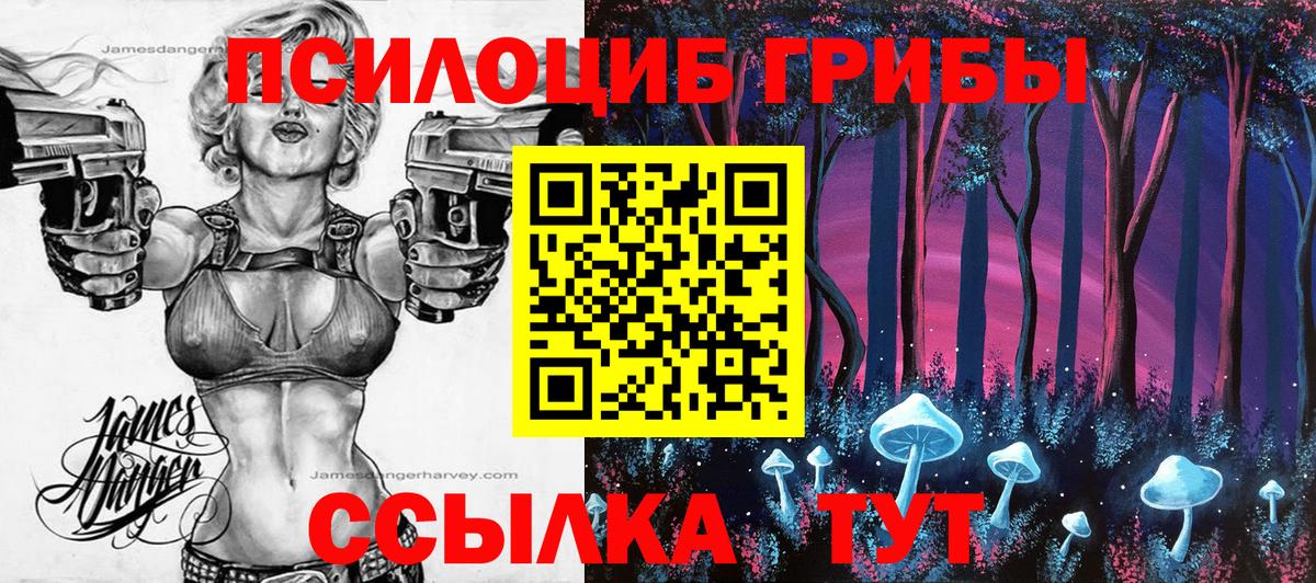 Галлюциногенные грибы мухоморы  где купить   Старая Русса  Вход с VPN  Галлюциногенные грибы MAGIC MUSHROOMS 